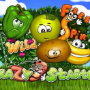 Crazy Starter